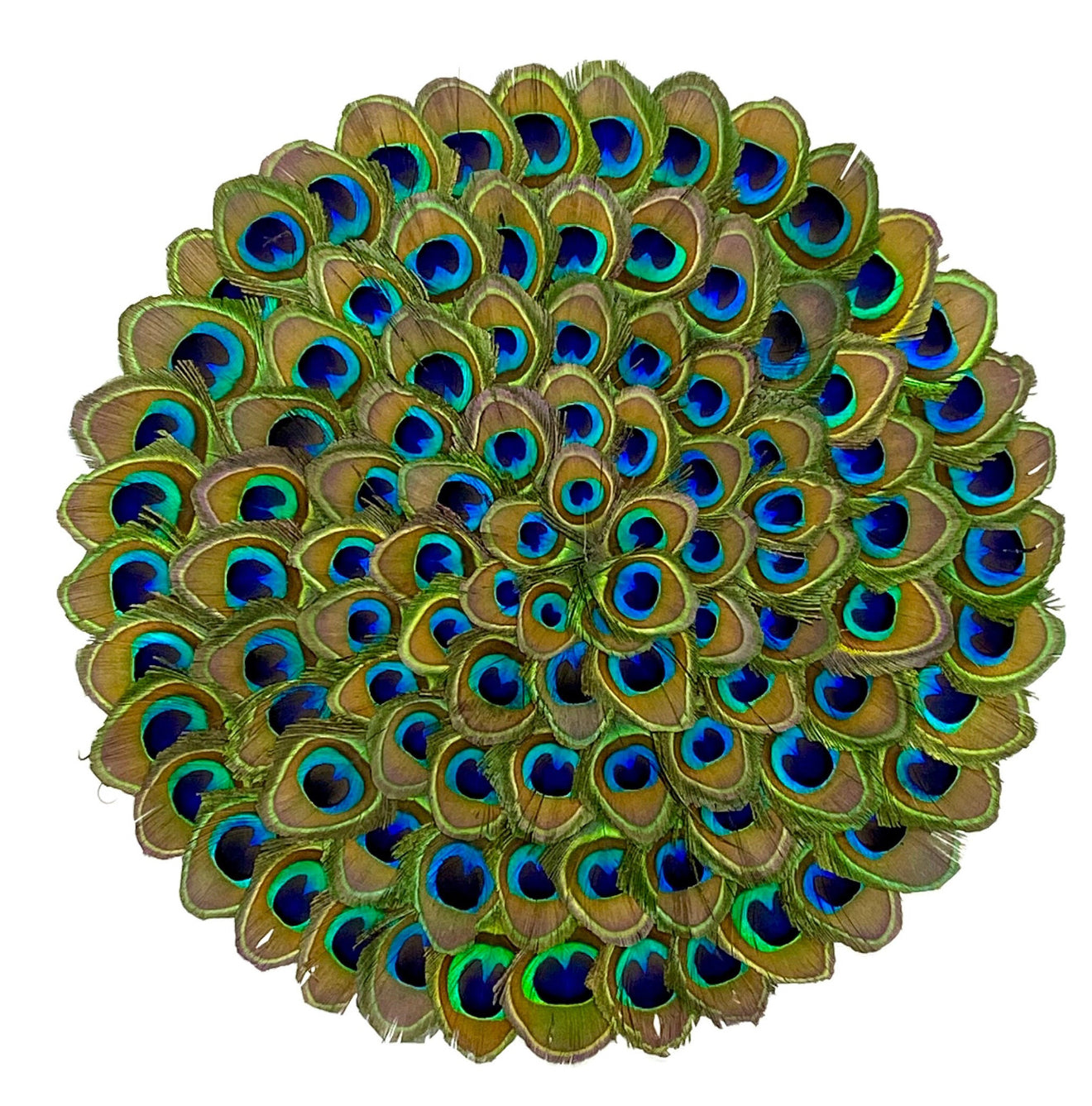 Natural Feather Peacock Placemat