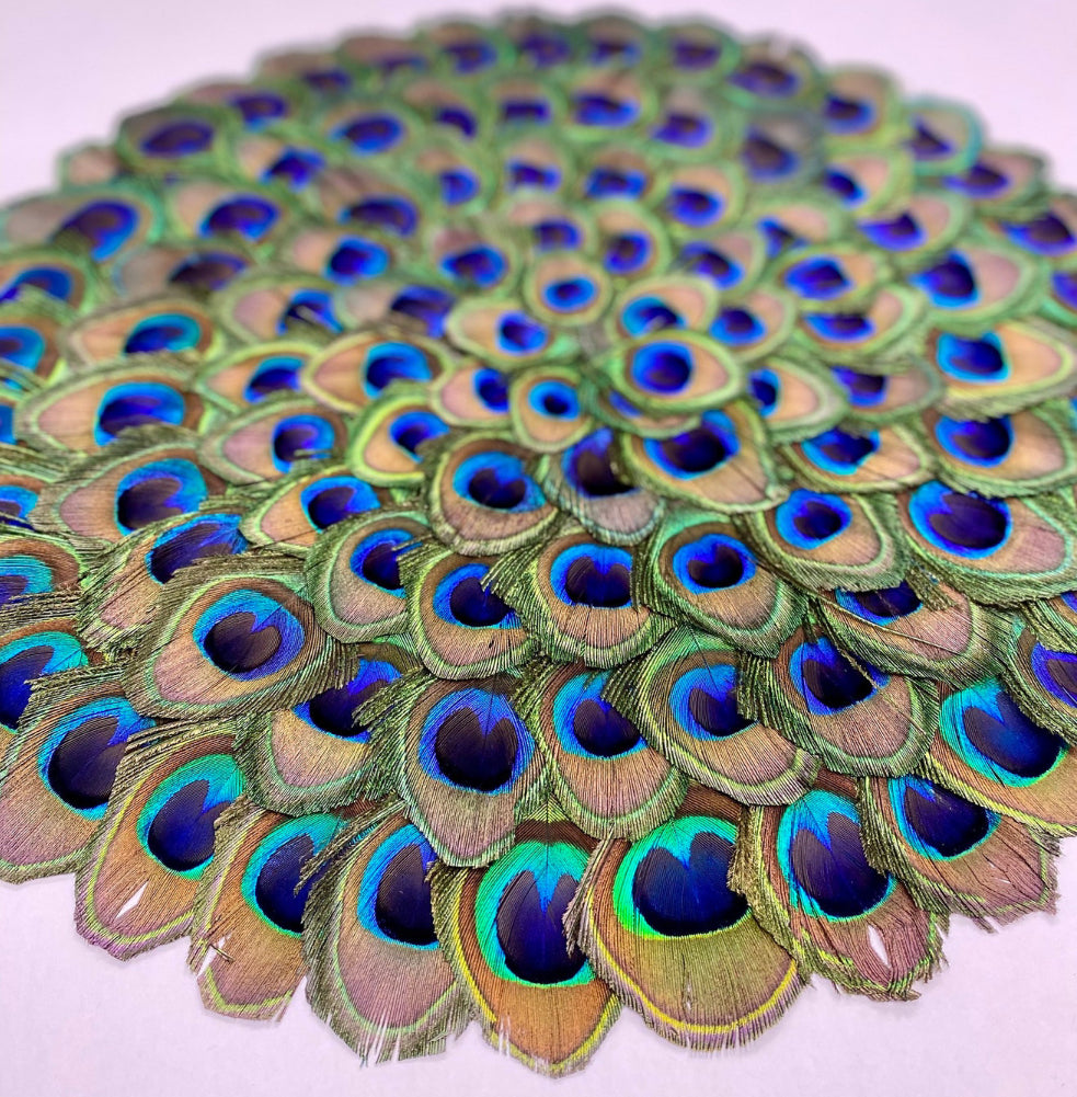 Natural Feather Peacock Placemat