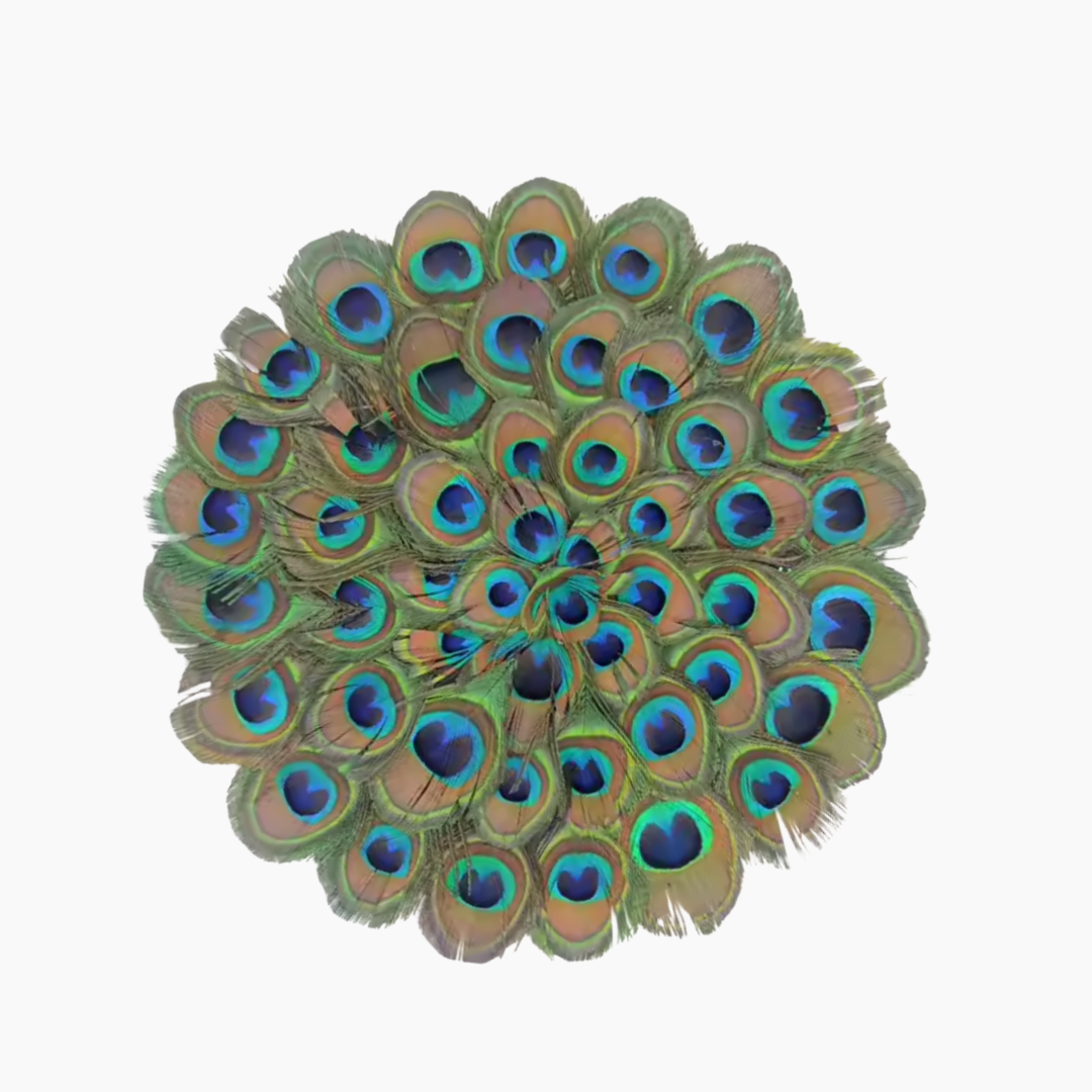 Natural Feather Peacock Placemat
