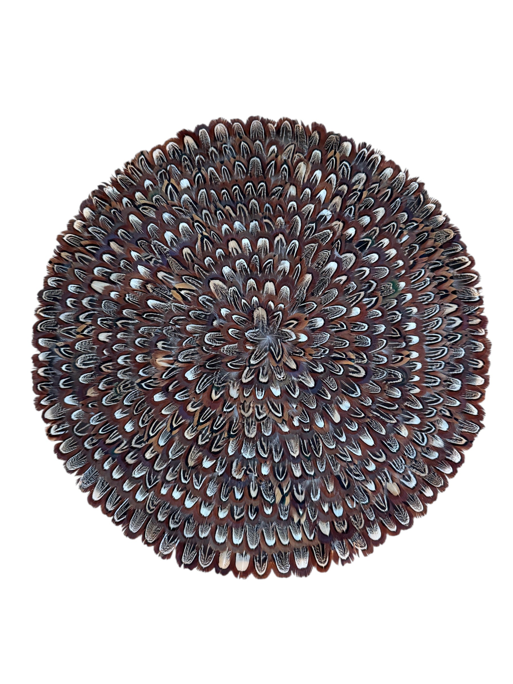 Large Brown Pheasant Feather Placemats